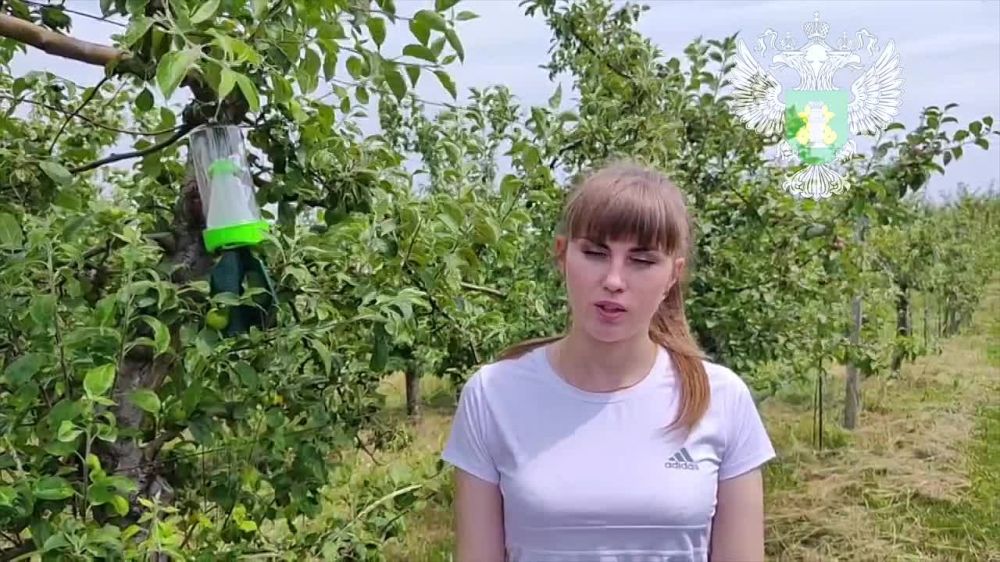 ����������� ����������������� �� ��������� �������� ���������� ����������� ���������� ������� �� ����������� ���������� �������� ����������