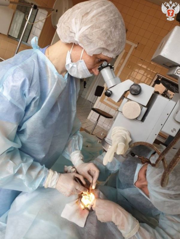 ����� ���� ������� �������� ��. ����������� ��������� ������ ��������� ��������������-������������ � ������������ ������ �������� �� ����� �������� ������