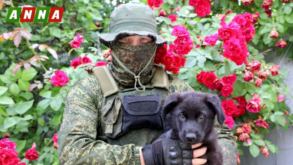 ���������� 2-�� ���������� ���������� �������