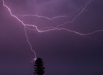 ��������� ������������ 30 ���� � ��� �� 25 �������� �����, ������� ����� � ������