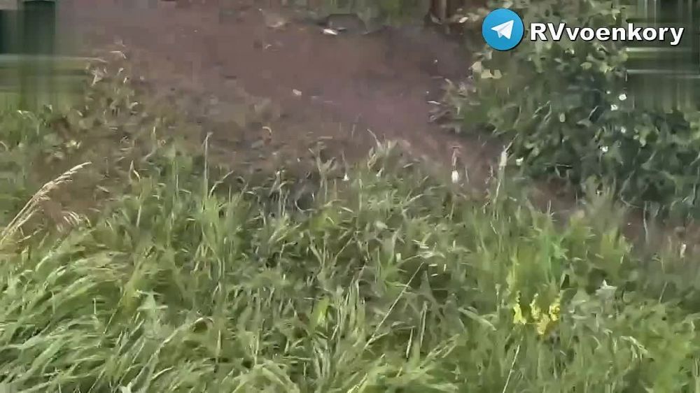 ������� ������: ��� ������� ������� �� ������ ����������