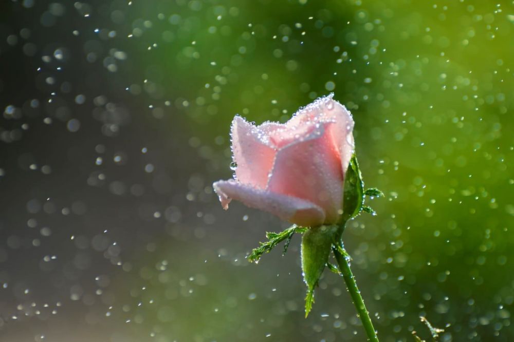 ��������� ������������ ��������������� ����� � ����� ������ � ��������