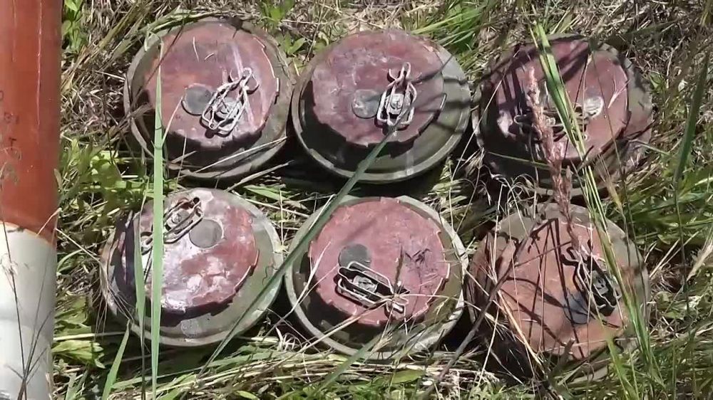 ��������� ����������� ������ ����������