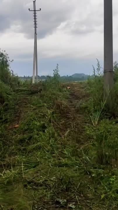 ���������� ��������� ������ ��������� ����� � ��������� �����������, �������� � ��� ��� "���"