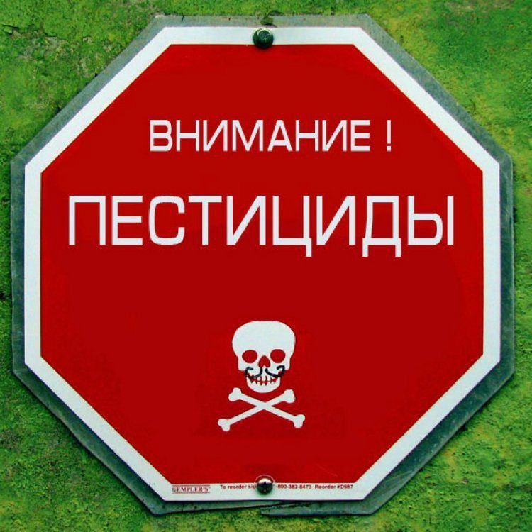 ���������� ��� ������������� ���������, ������������ ����������� �������������������� ���������, � ������������� ���������� ����������� ���������� ���������� � �������������