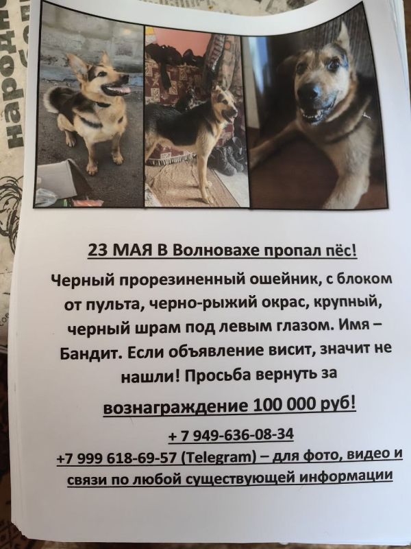 ������ �����, ������� ������! �� �����, ��� ��������