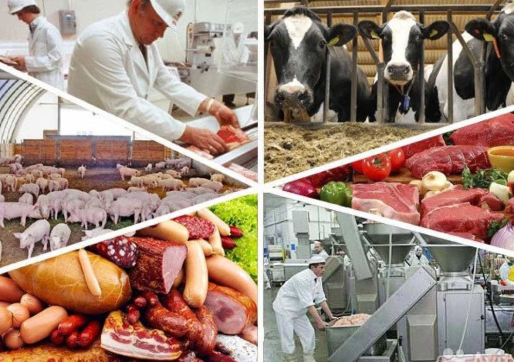 ����� ������������ ���������� � �������� �� ������������ (������������) ������� ��������� �������������