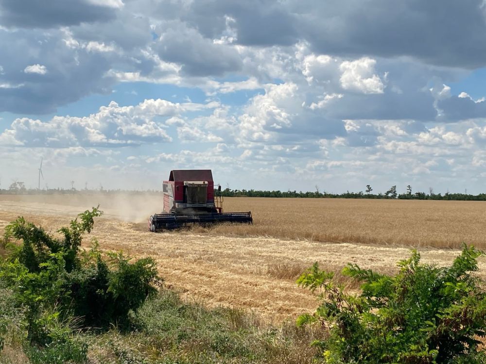В ЛНР перенесли начало уборочной кампании