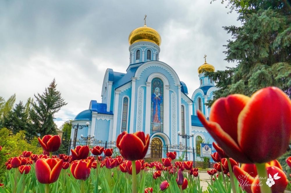 � ��������������� ���� �� ������ ������ � ������ "�����-����� ����������� ������� ��������"