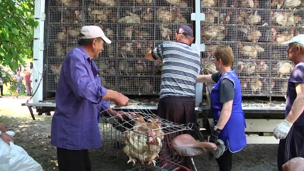 ������� ����������� ������ �������� ���-������� � 45 ���� ������������ ������