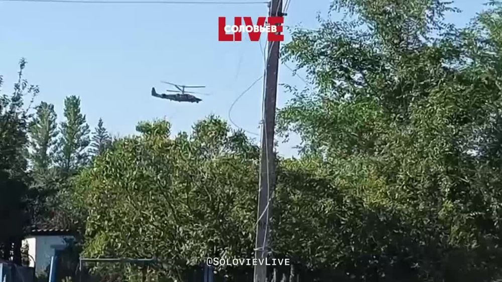 ���������. ����������� ������� ���������� �� ��������� �����������