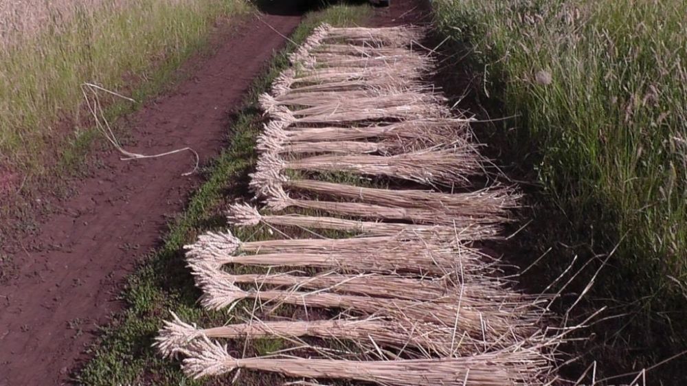 ������� � ��������� �������� ���������� ����� ��������� ��������� � ����������� �������� �������, �������� � ���������� ����������������� �� ���