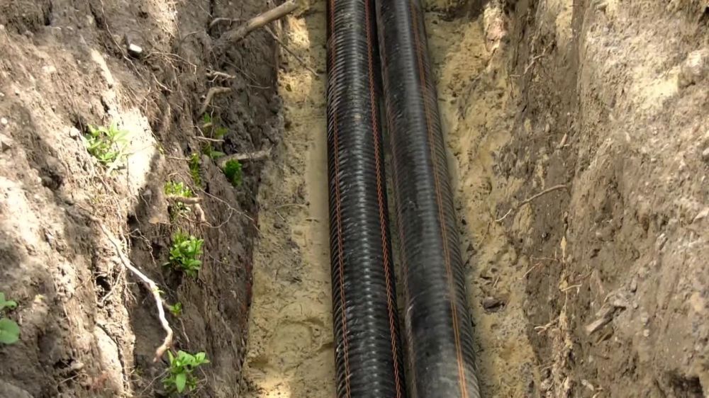 � �������� ������������ ���������� ������������� �� ���� ������������