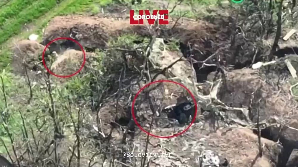 ���������. ����������� ������� ���������� �� ��������� �����������