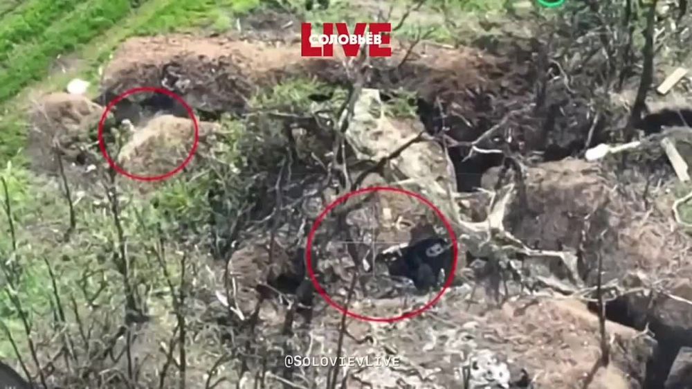 ����������� ������� ���������� �� ��������� �����������