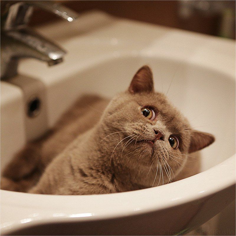 ������ ���� ���� ��������� ���������� ������ ����� ������������ ������� �������