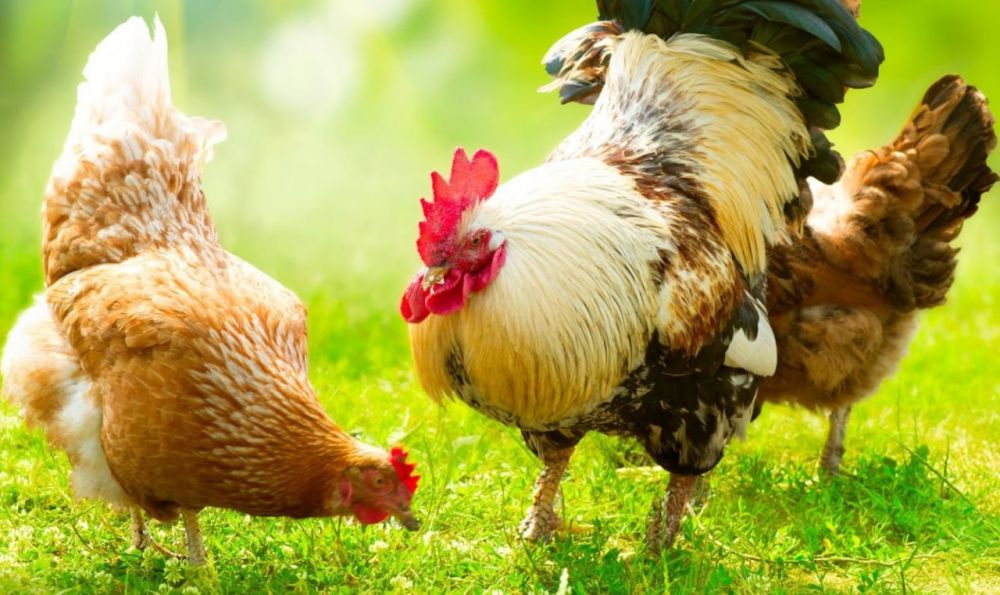 ��������� ������������� �� ��������� ����������������� ������ ����