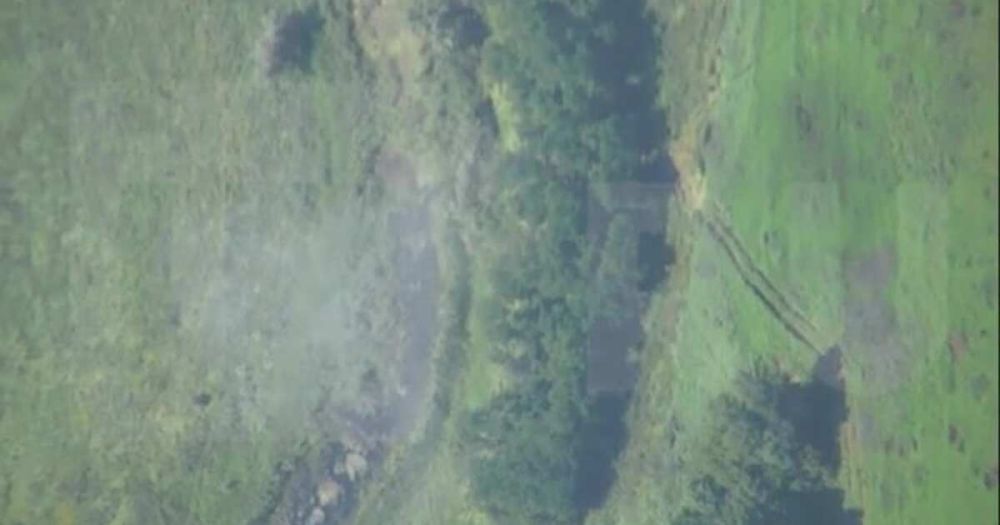 ����������� ������� ��� ������������ ��� ������ ����� � �������