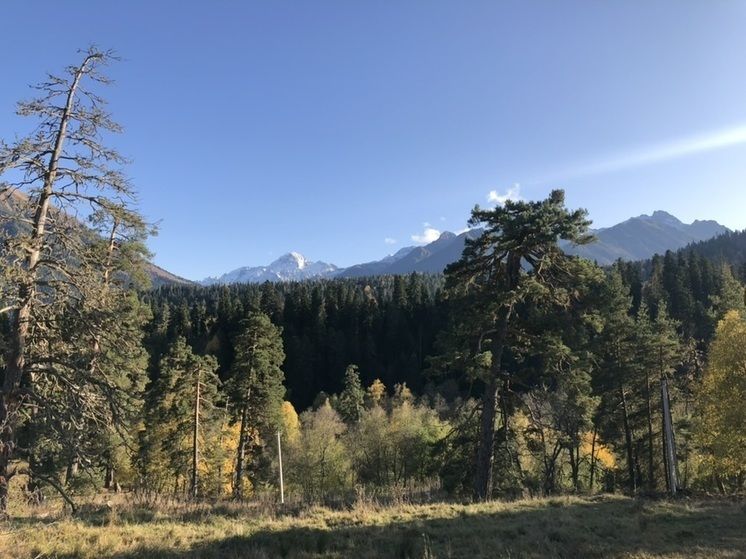 150 ����� �� ��� �������� � ���������-�������� �� ������ �����