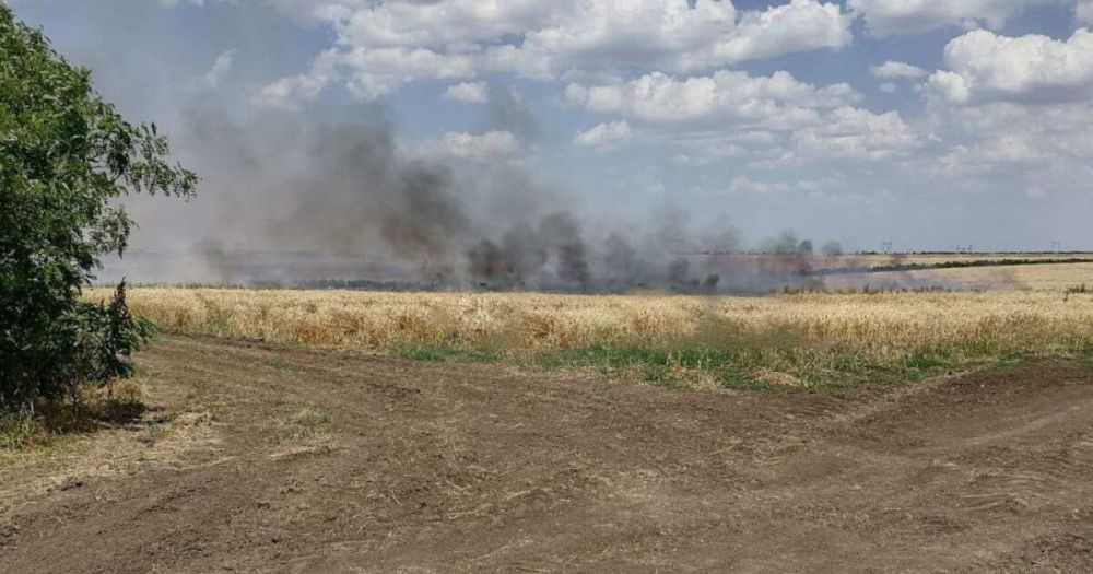 Поле с пшеницей сгорело в Запорожской области из-за обстрела ВСУ