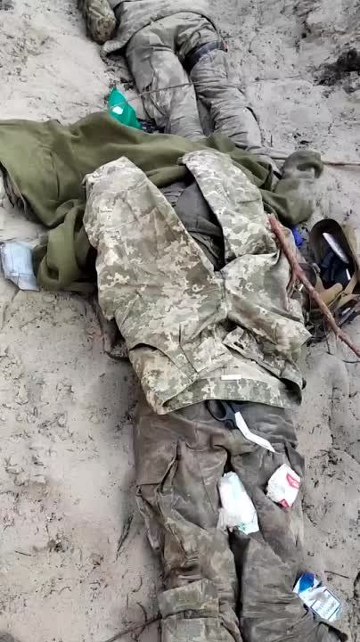 ����� � ������� ����������� �������� �� ��������������� �����������