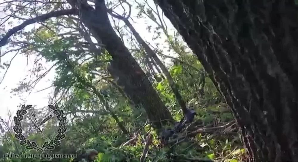 ��� � ������ ���������, ������ �� ���� ������ �� �������� ������ ��� ���. � ����� ����� �������� �������� ���� �� �������� �������