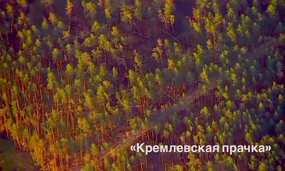 ������� ������ � ���������