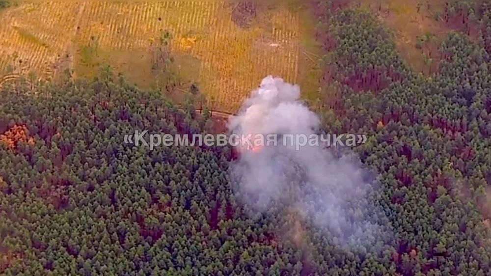 ������, ������������ �����, 21 �� ���-�������� ���������