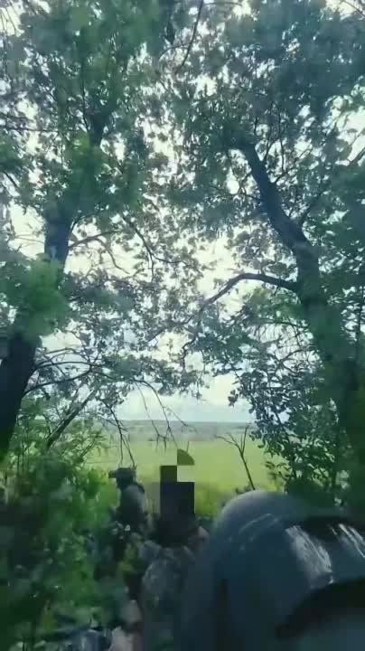 ������ ����������� ������ "������"