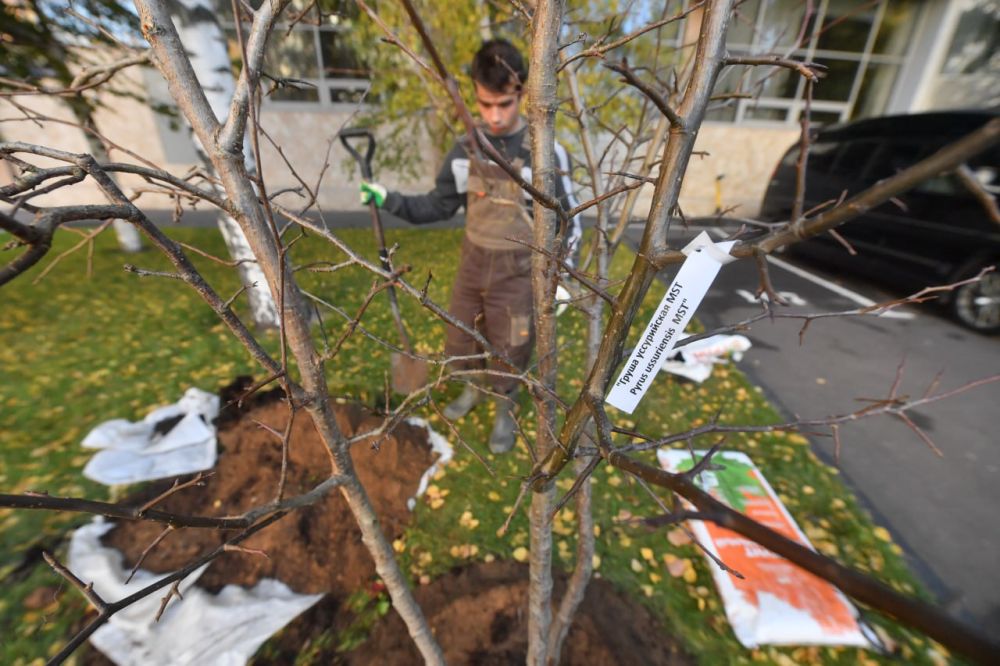 � ������������� �������� �������� ������� � ����� �������� �� ����� ��� ���������