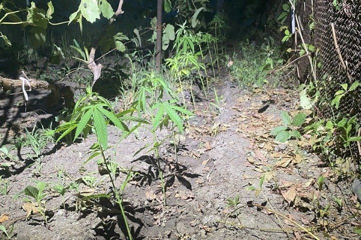 28 ������ ������� ������ � 40-������� ������ ����������