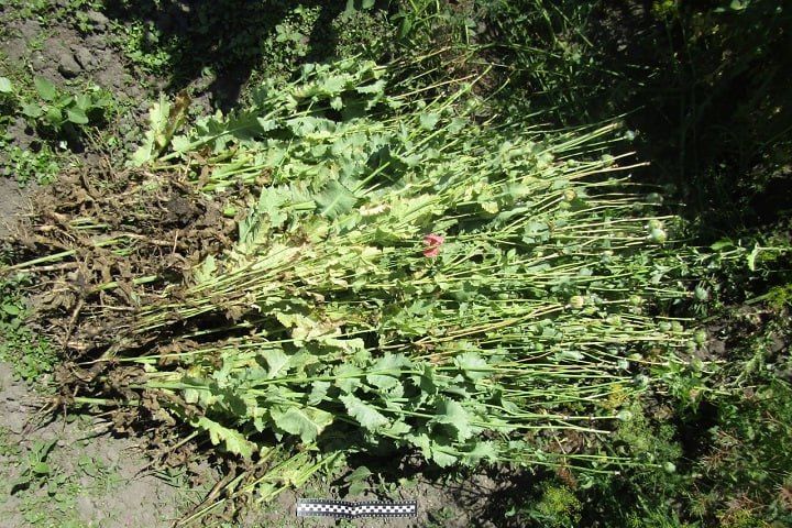 � ������ �������������� ������ ������ ��������� ���������� ���������� ���