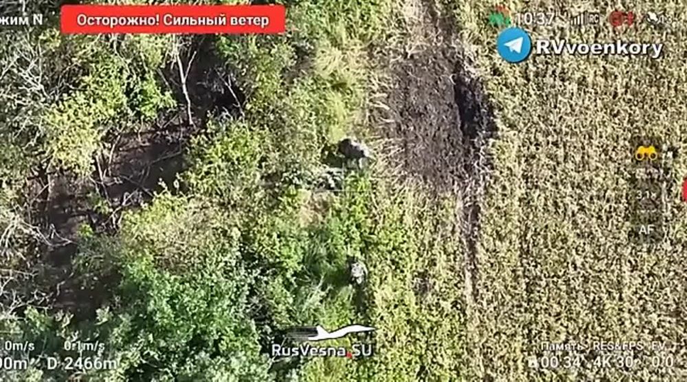 �������� ��������� � ������ ����������� � ������ ��� � ���� � ���������