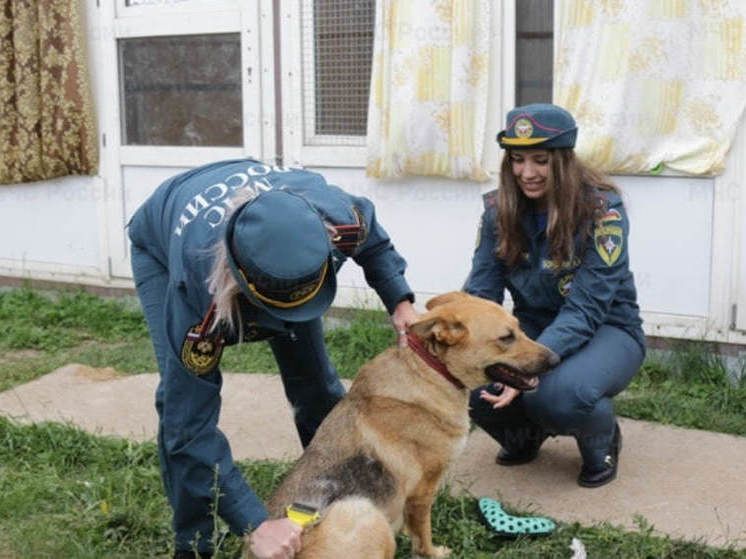 ������ �����: ������ �������� �� �������� 9 �����