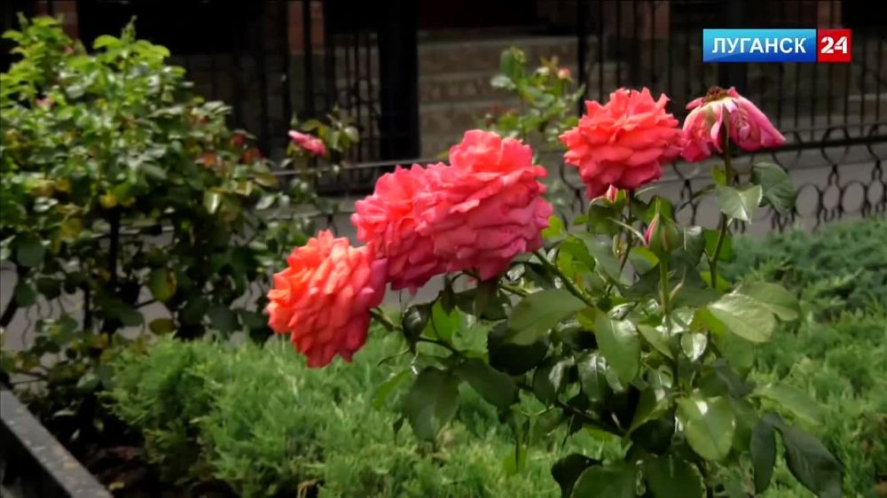 ������������ ��������������� ������ ������� ����� �������������� �������� ������