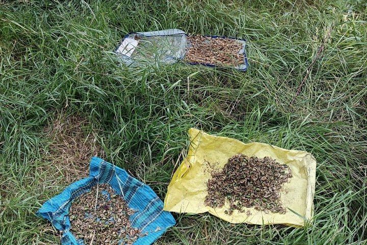 � ������ ������������ ������ 400 ����� ����������� ����