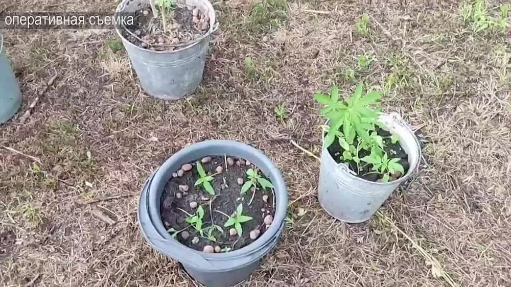 � ������� ��������� � ���������� ���������� 22 ����� ������� �� ������� ���������������