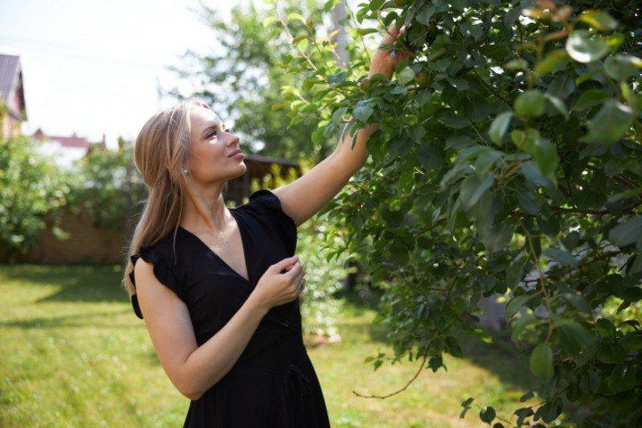 �� 28 �������� ����� ������������ ��������� � ��� 13 ����