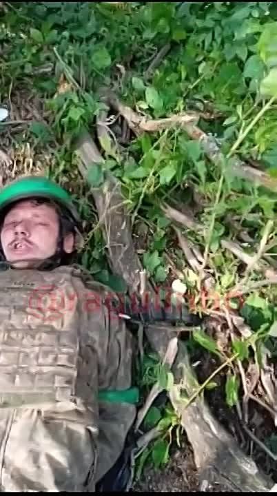 ����� �� �� ����� ������� ��� �� ��������� �����������