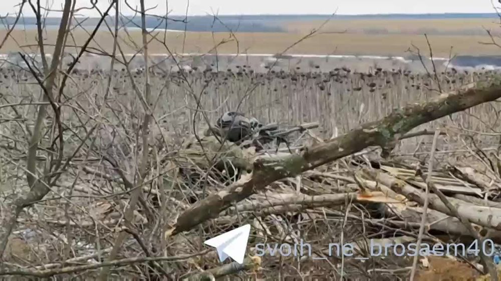 ������, ���� ����������� �� ��� �������� ��� ��������� ��������� ����� ����� ������ ������� ������� ������!