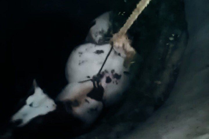 � ��������� � ������� ����������� ������