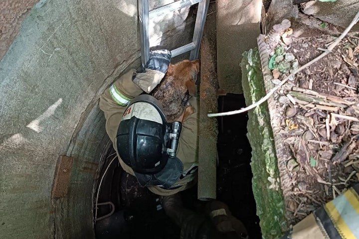 � ������� ���� ��������� ����������� �� ������� ������