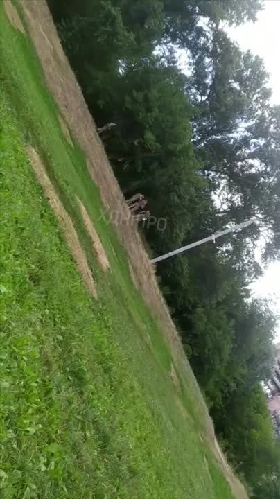 "���� ����� ������ - ������� �������"