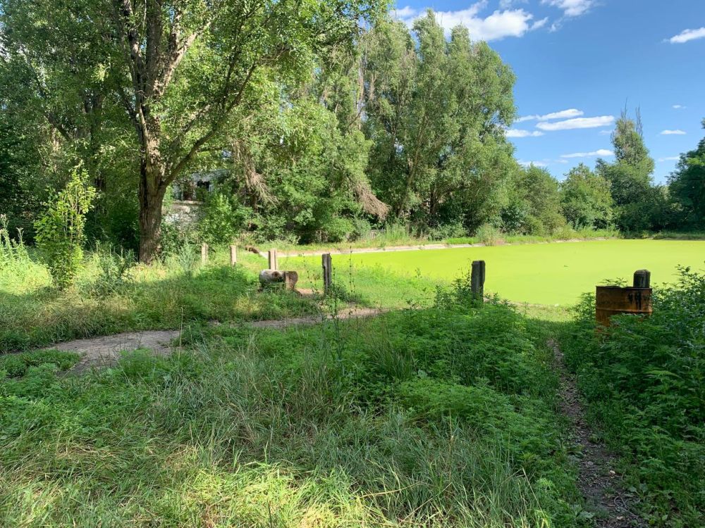 ������������� �������� ������������� ���������� ������������� �������� ���������� ��������� �� ��������� �������� ���������� ������������ �������������� �������� � ����� � ������� ��������� �� ����