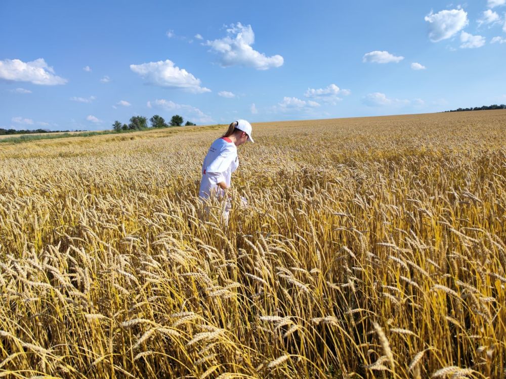 � ��������� �������� ���������� ����������� ������ ������ ������� �� ��������� ����������� ��������