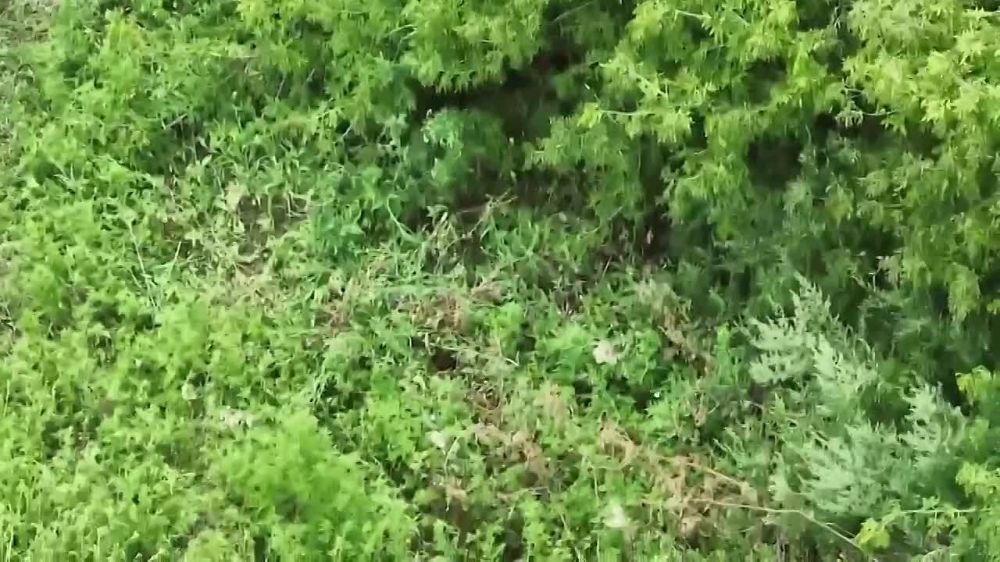 ������� ��� �� ����������� ����������� ����������� ������ � ������������ � ���������� �������� ���� ������, �� �� �������� ������� ����������