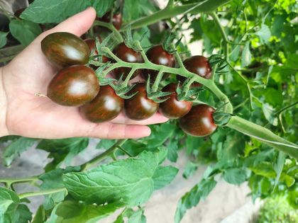 ������� �� ������� ��������� ������� ����� � �� ��������� ��������������