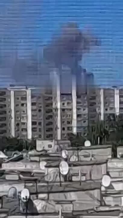 ���� ����� ���� �� ��������