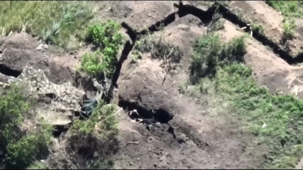 ������������� ������ ������� ���� ���� ��� �� ������ �� �������� ������ ��� �� ���������� �����������