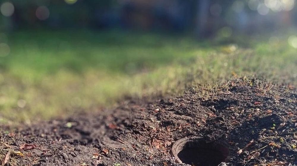 �������: ��� ��������� ������������ ��������� ���������� ��� ������ �� ��������